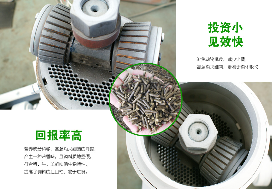 饲料草莓视频下载网站压辊环模图片