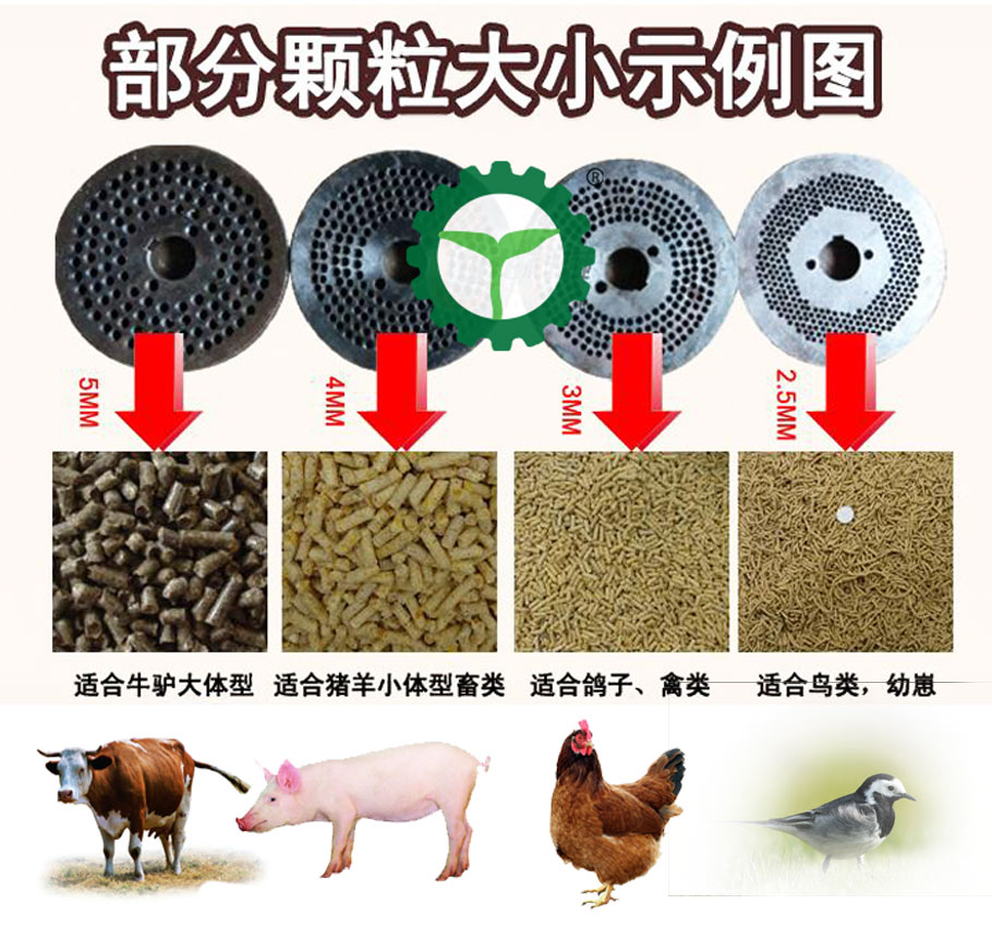 不同颗粒对应的饲养动物