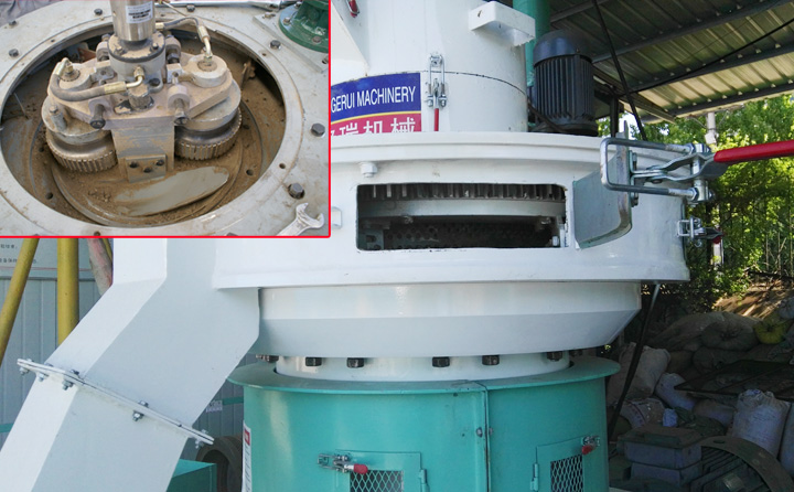 锯末草莓视频下载网站图片