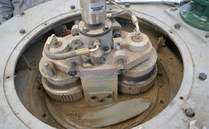 锯末草莓视频下载网站图片