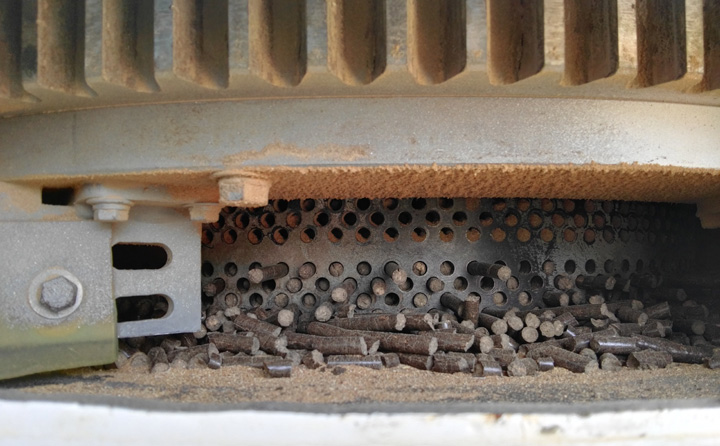 锯末草莓视频下载网站图片