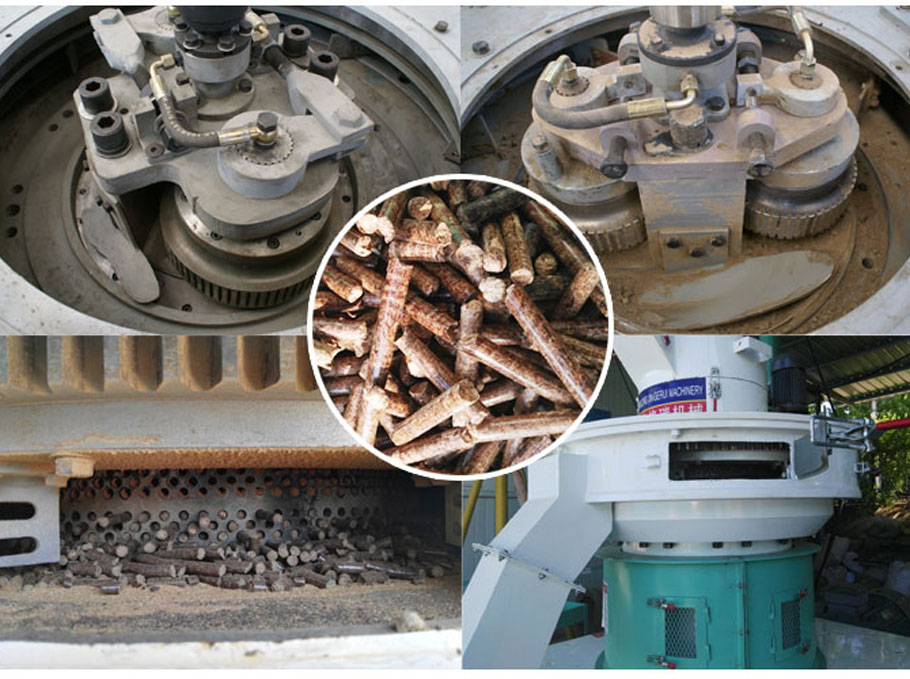 生物质草莓视频下载网站内部结构 生物质草莓视频下载网站内部结构