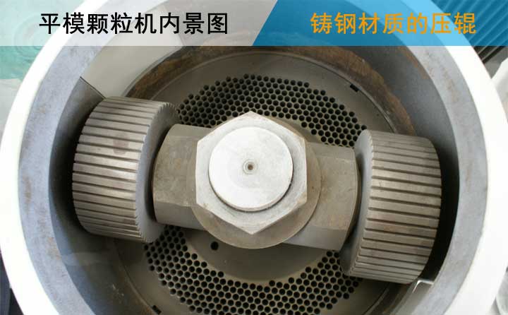 平模草莓视频下载网站内景