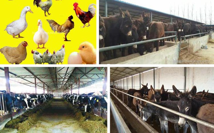 适用范围 适用范围