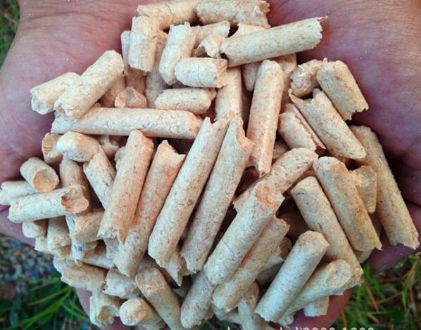 生物质草莓视频下载网站械设备 生物质草莓视频下载网站械设备