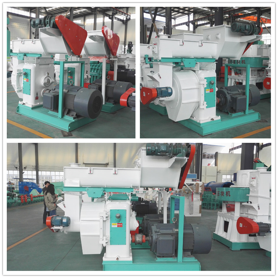 卧式环模饲料草莓视频下载网站产品展示图