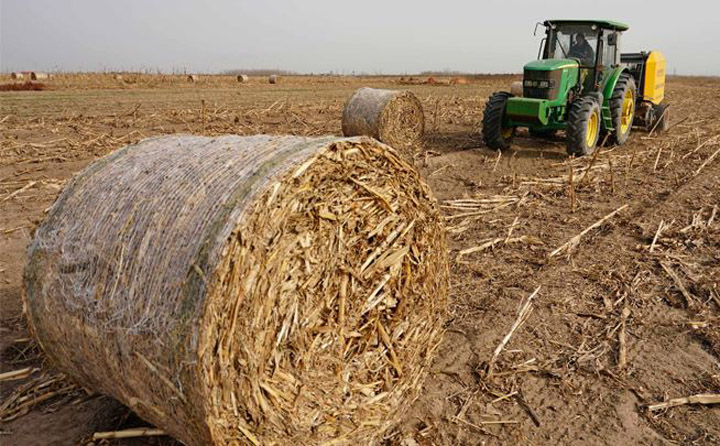 秸秆打捆收集 生物质草莓视频下载网站械