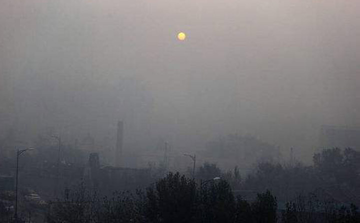 雾霾漫天 生物质草莓视频下载网站械