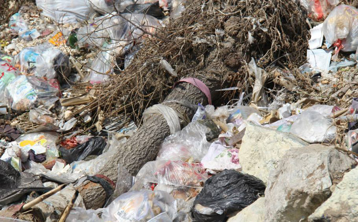 农村生活垃圾循环再利用 生物质草莓视频下载网站械