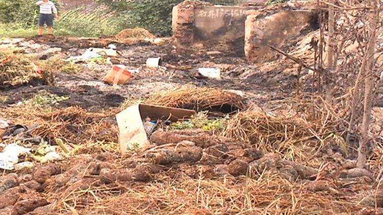 畜禽粪便乱堆现象 生物质草莓视频下载网站械