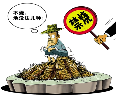 秸秆禁烧 生物质草莓视频下载网站械