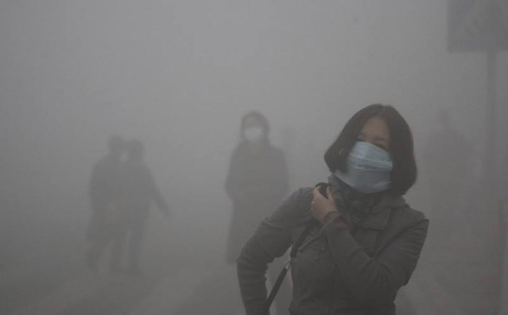 雾霾侵袭 生物质草莓视频下载网站械