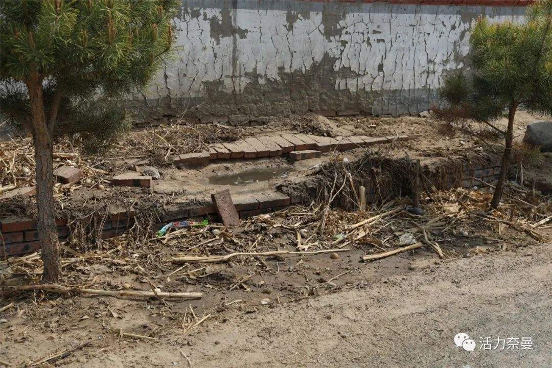 生物质草莓视频下载网站械