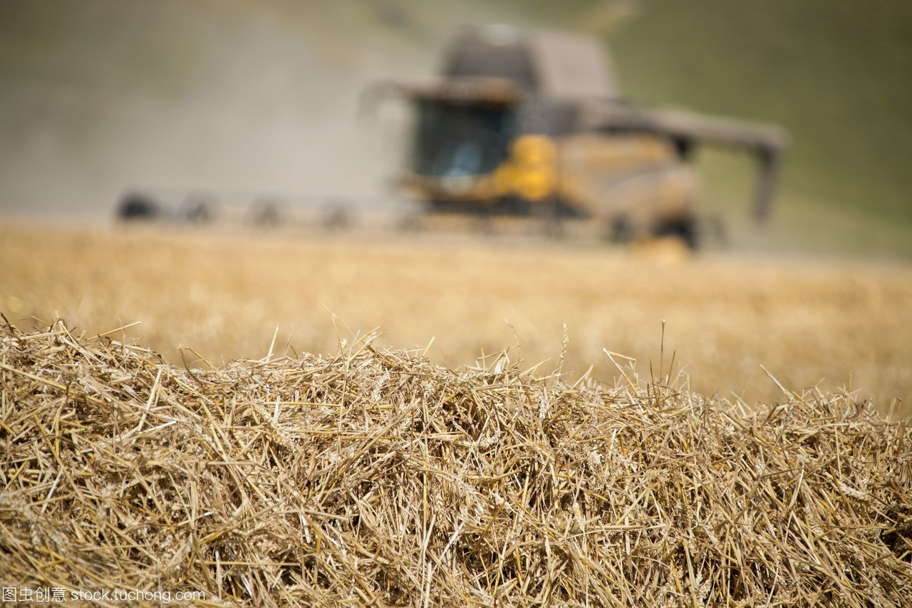 秸秆资源丰富 生物质草莓视频下载网站械