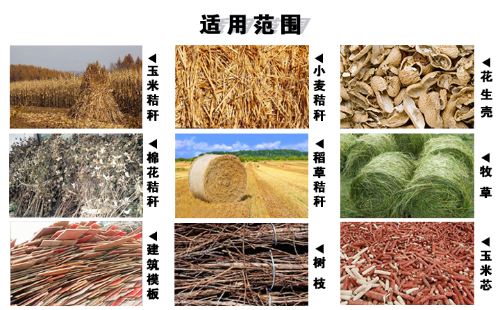 木屑草莓视频下载网站适用的原材料 生物质草莓视频下载网站械