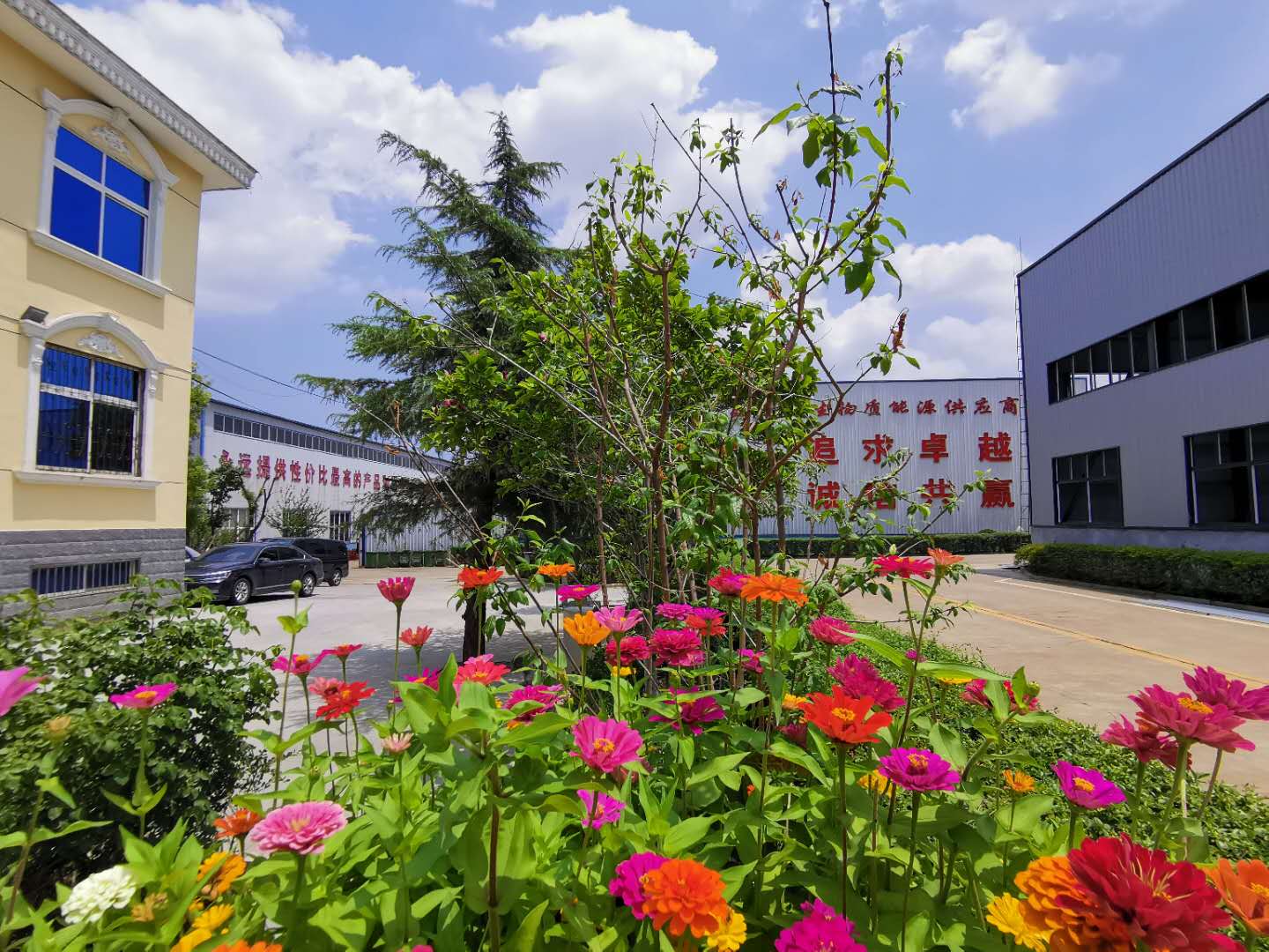 山东木屑草莓视频下载网站厂家 山东木屑草莓视频下载网站厂家