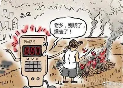 秸秆焚烧导致环境污染 生物质草莓视频下载网站械