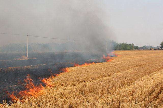 秸秆焚烧 秸秆焚烧