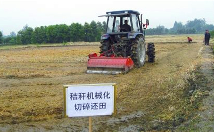 秸秆还田让“地越种越肥、产值越来越高”