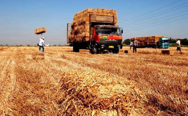 秸秆、木材加工厂的边角料、修剪果树的枝条、村里拆除老房子的废木料 秸秆、木材加工厂的边角料、修剪果树的枝条、村里拆除老房子的废木料