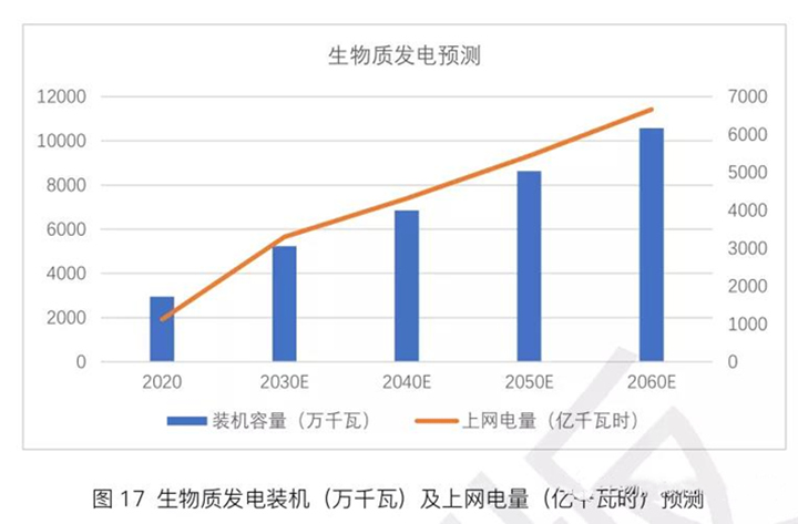 生物质发电机 生物质发电机