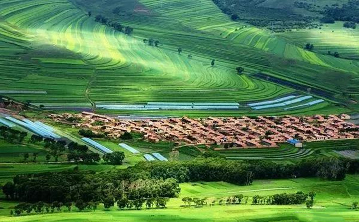 近日,甘谷县农业农村项目建设服务中心全体干部来到大石镇李湾村开展我为群众办实事活动 近日,甘谷县农业农村项目建设服务中心全体干部来到大石镇李湾村开展我为群众办实事活动