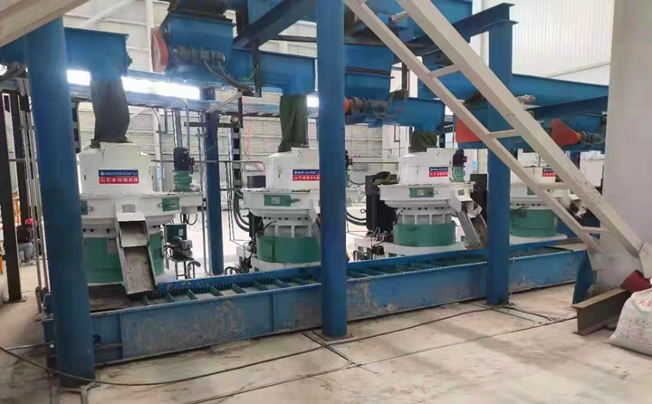 关于我的主人，稻壳草莓视频下载网站