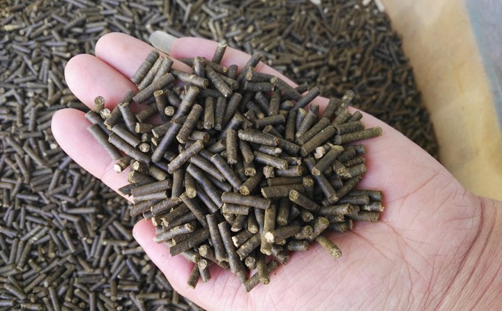 生物质燃料草莓视频下载网站加工颗粒燃料 生物质燃料草莓视频下载网站加工颗粒燃料