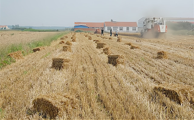 生物质作为一种含碳、固体形态的可再生能源，其热转化利用技术、设备与煤炭具有相似性，且生物质氮、硫含量低，污染物排放要远低于燃煤。因此，大力发展生物质燃料锅炉将有助于缓解燃煤带来的环境污染问题