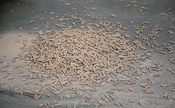 生物质燃料草莓视频下载网站的颗粒燃料 生物质燃料草莓视频下载网站的颗粒燃料