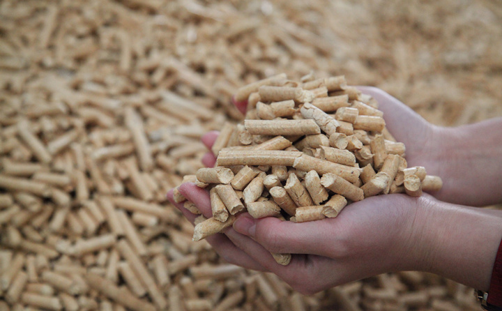 木材边角料和秸秆可别扔了，用生物质草莓视频下载网站加工，可以变成颗粒燃料，可以卖也可以自己用