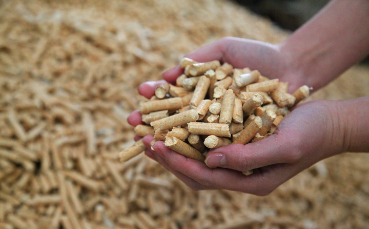 生物质草莓视频下载网站松木颗粒