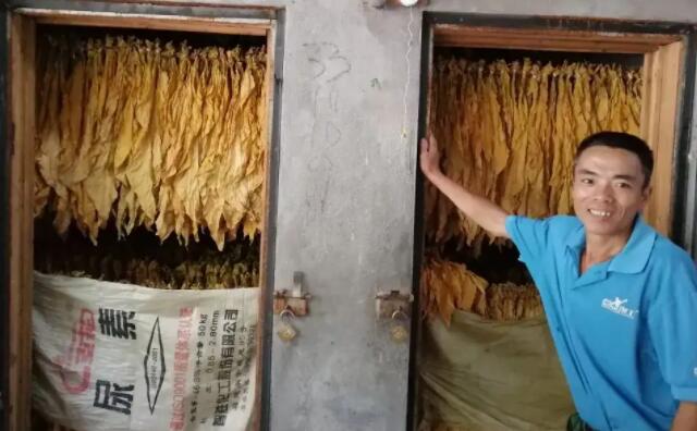 生物质草莓视频下载网站颗粒燃料烤烟 生物质草莓视频下载网站颗粒燃料烤烟