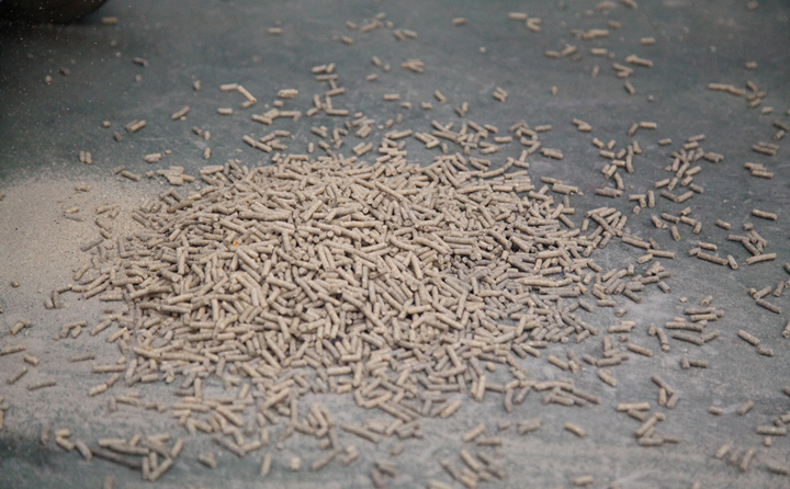 生物质颗粒燃料 生物质颗粒燃料