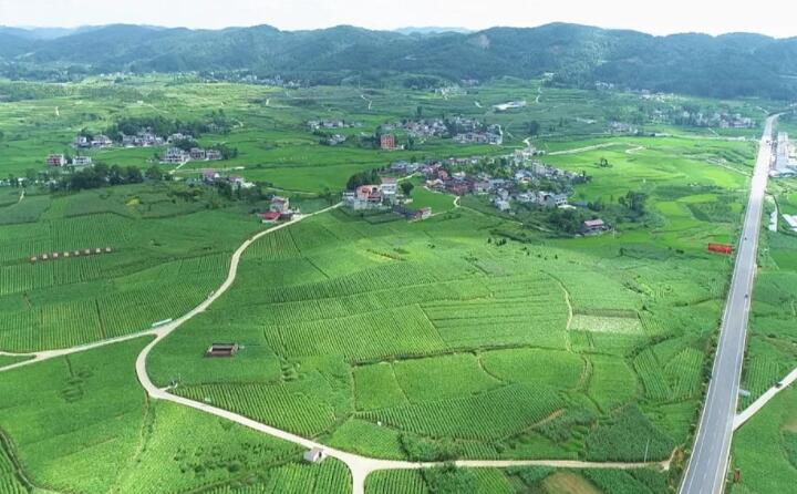 福泉：生物质颗粒智能化烘烤 助力烤烟产业提质增效