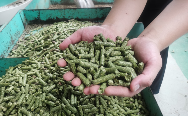 生物质颗粒燃料 生物质颗粒燃料