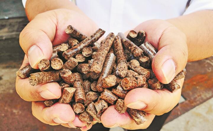 生物质燃料颗粒 生物质燃料颗粒