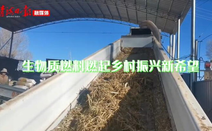 青海海东乐都：生物质颗粒燃料燃起乡村振兴新希望