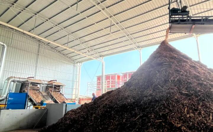 伴着轰隆隆的机器声，食指长短的生物质颗粒就被生产出来，从传输带上倾泻而下，在成品区堆成小山丘。