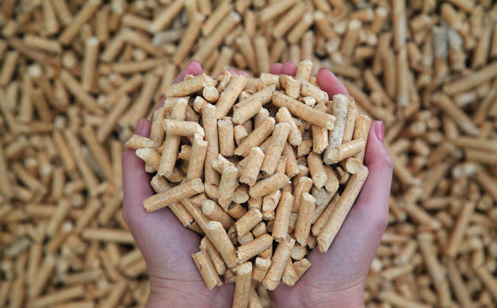 生物质草莓视频下载网站加工的生物质成型燃料