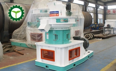 560木屑草莓视频下载网站