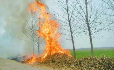 秸秆千万别烧了，还有这些用途！