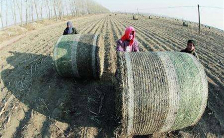 生物质草莓视频下载网站设备从不挑食！