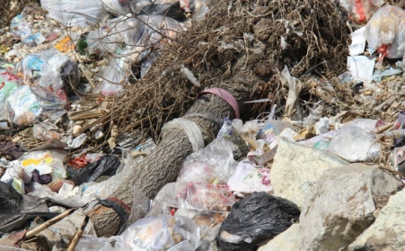 秸秆问题亟待解决，你有什么好办法？