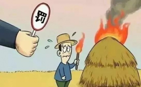 秸秆禁烧怎么办？秸秆草莓视频下载网站帮您变废为宝！