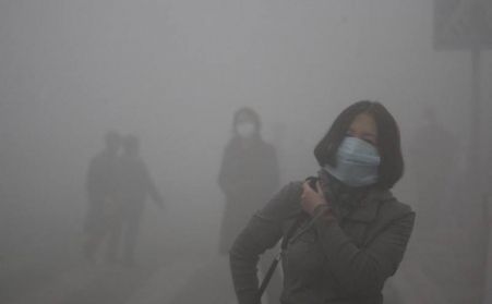 玉米秸秆草莓视频下载网站如何使秸秆变“宝贝”？