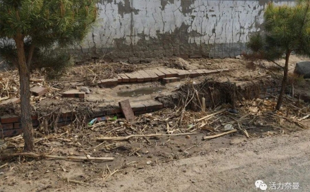 生物质草莓视频下载网站的发展，对处理农村垃圾具有重要意义
