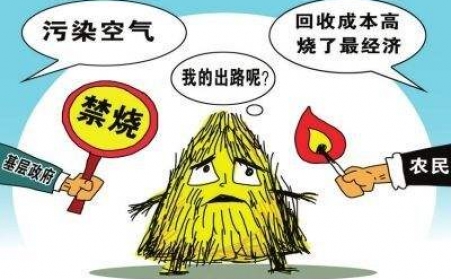 黑龙江秸秆草莓视频下载网站把秸秆从包袱变回宝贝！