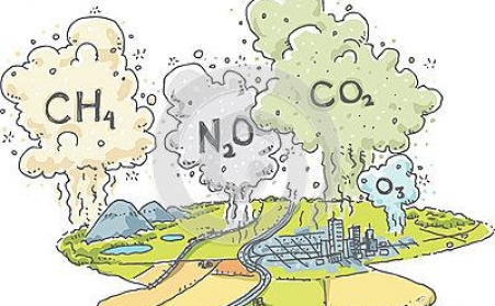 秸杆如何综合治理，秸秆草莓视频下载网站来帮忙！