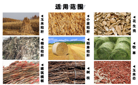 木屑草莓视频下载网站有效处理农村废弃物，发展生物质能源